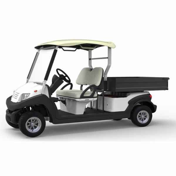 Xe điện Eagle 2 chỗ chở hành lý